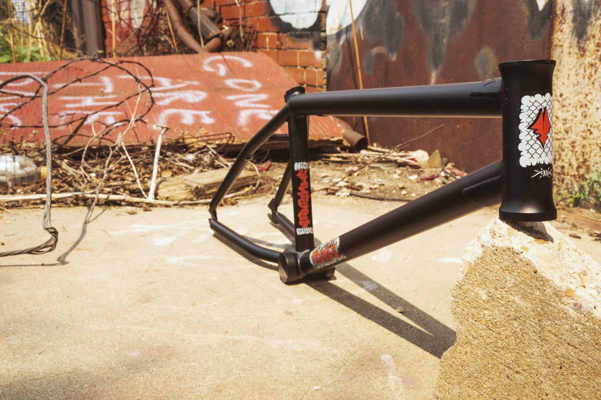 Nick Halisheff District Street Frame